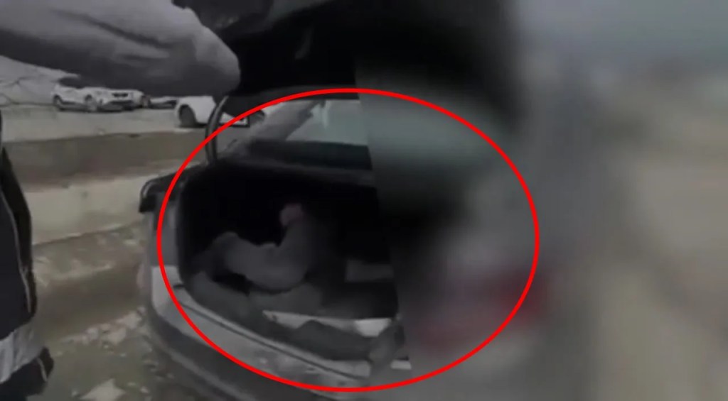 Bingöl'de Firari Hükümlü Bagajda Yakalandı