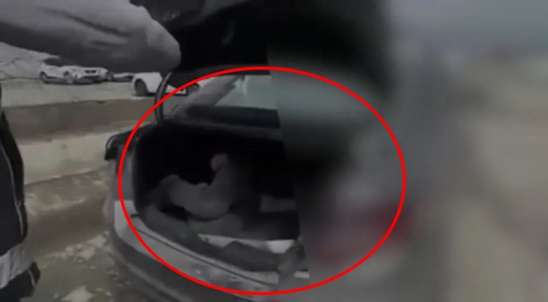Bingöl'de Firari Hükümlü Bagajda Yakalandı