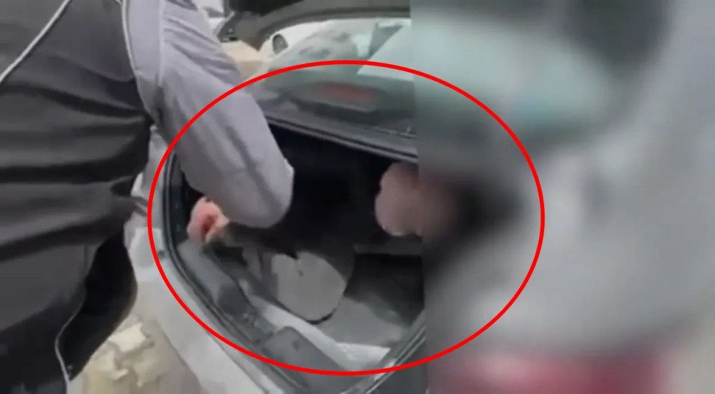Bingöl'de Firari Hükümlü Bagajda Yakalandı