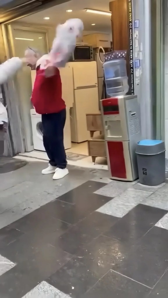 Şişli'de Spotçu ve Müşteri Arasında Gergin Anlar