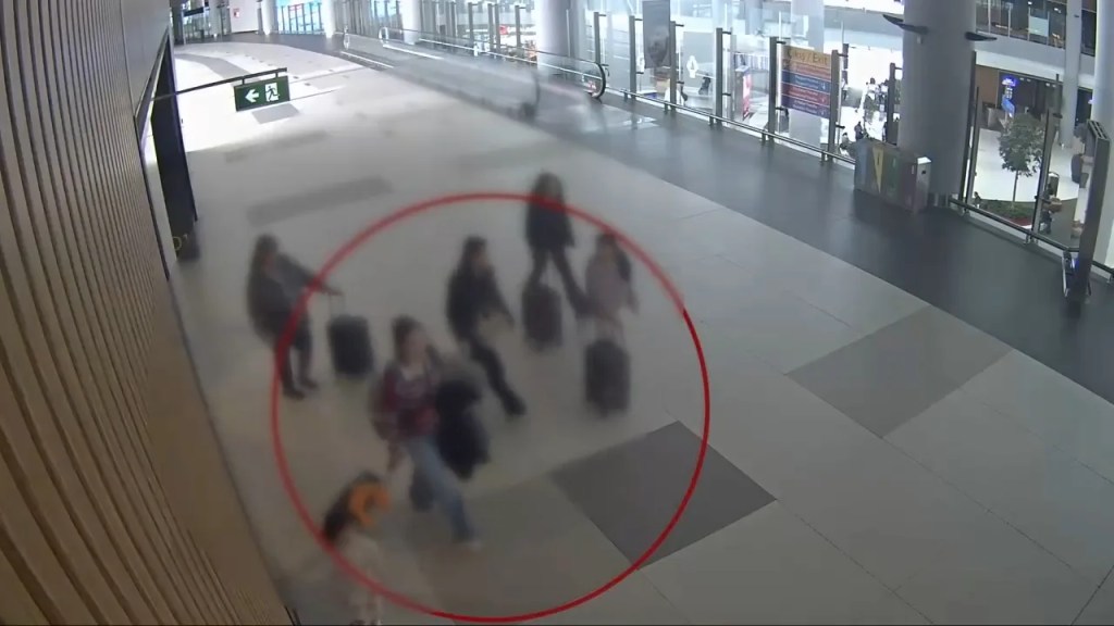 Interpol'ün Aradığı Altın Kaçakçısı İstanbul'da Yakalandı