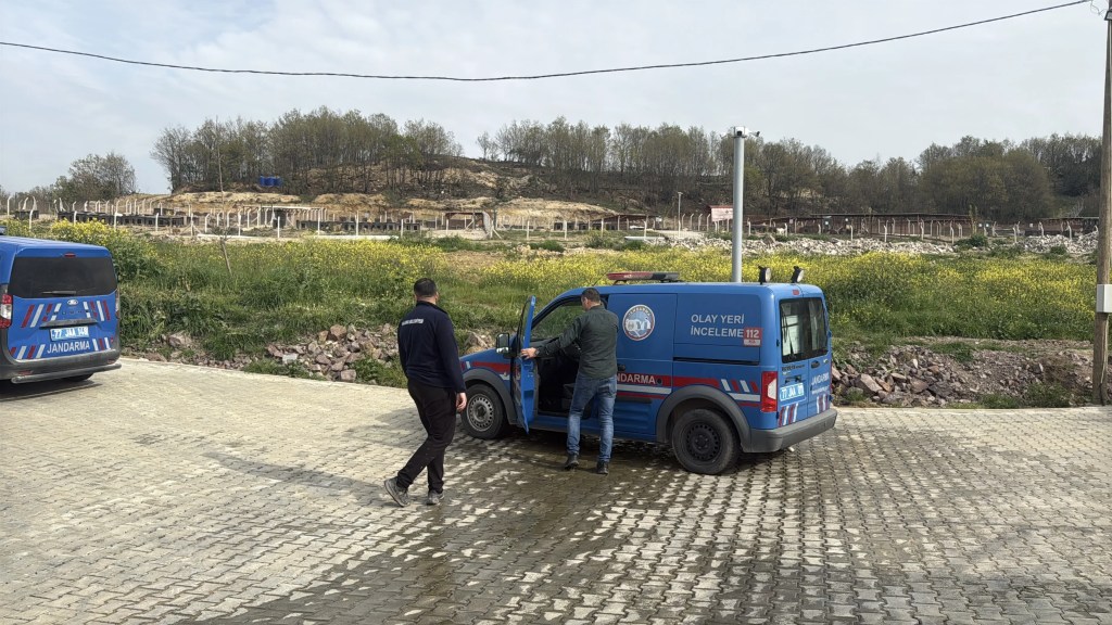 Yalova'da Hayvan Ölümleri İddialarına Soruşturma Başlatıldı