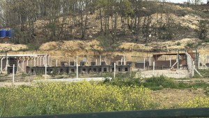 Yalova'da Hayvan Ölümleri İddialarına Soruşturma Başlatıldı
