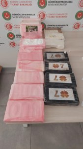 İstanbul Havalimanı'nda Büyük Uyuşturucu Operasyonu