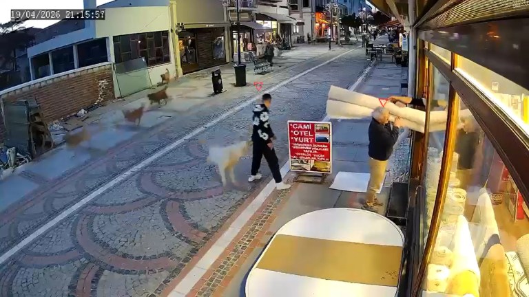 Edirne'de Sokak Köpeği Saldırısı Kamerada