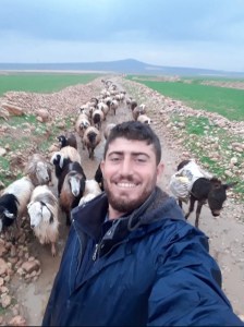 Mardin'de Çoban Silahlı Saldırıda Hayatını Kaybetti