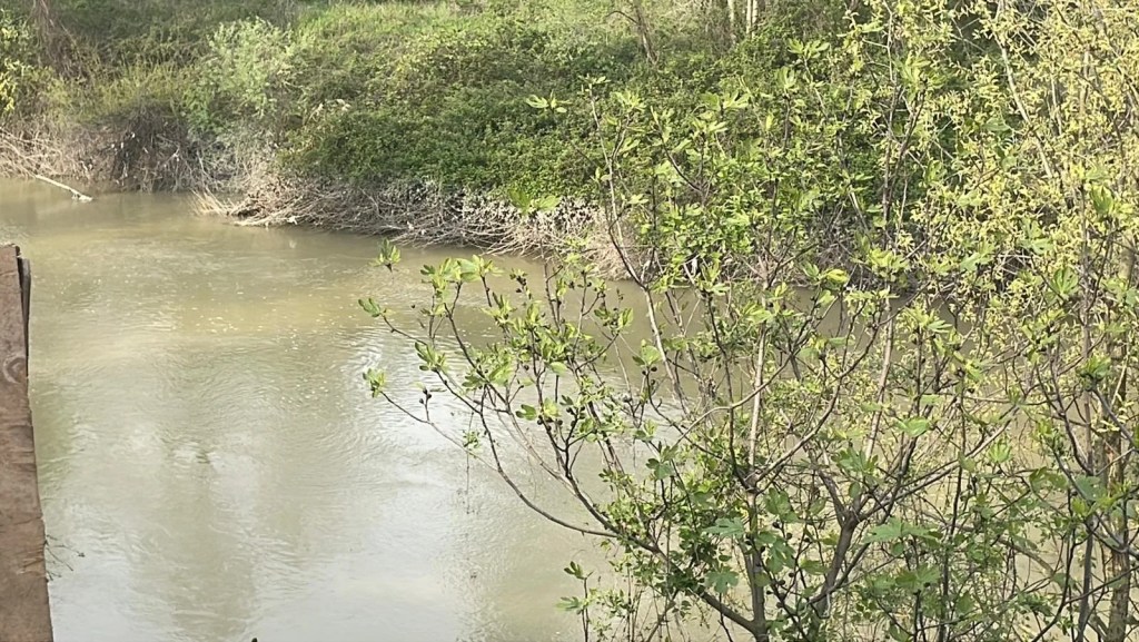 Sakarya Nehri'nde kaybolan çocuk için arama çalışmaları sürüyor