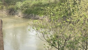Sakarya Nehri'nde kaybolan çocuk için arama çalışmaları sürüyor