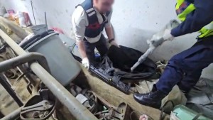 Sakarya'da Silah Kaçakçılığı Operasyonu: 27 Tüfek Bulundu