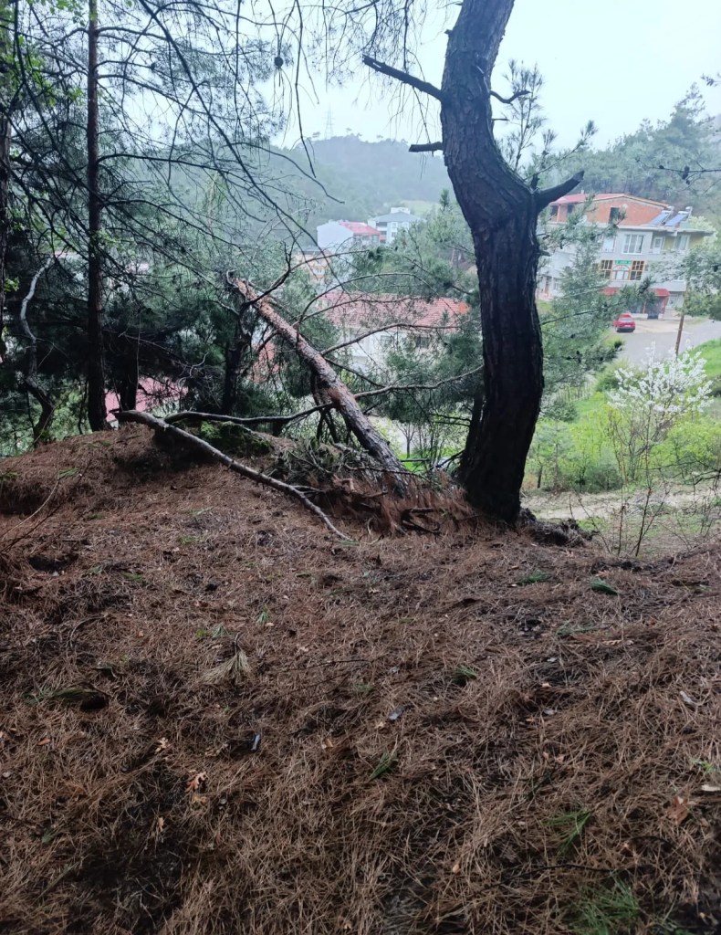 Tokat'ta Toprak Kayması Nedeniyle Tahliyeler Başladı