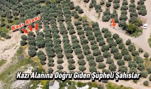 Osmaniye'de Dronla Kaçak Kazıya Suçüstü