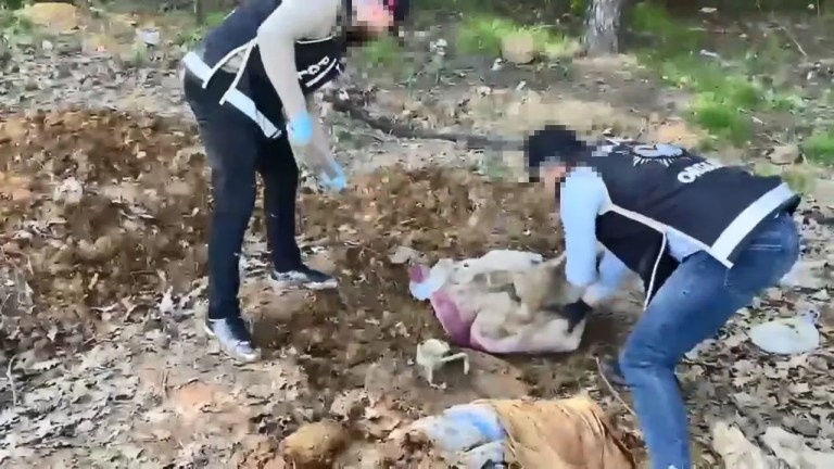 Pendik'te Toprak Altında Silah Parçaları Bulundu