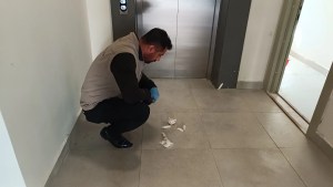 Adıyaman'da Yavru Kedi Vahşeti: Polis Araştırma Başlattı