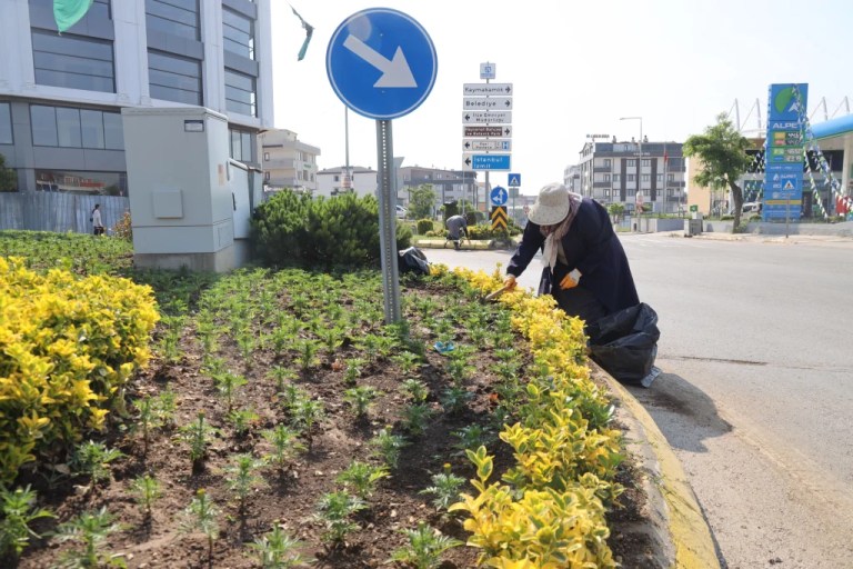 Darıca Belediyesi bayram için sahada