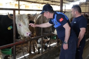 Kartepe’de kurban denetimleri sürüyor