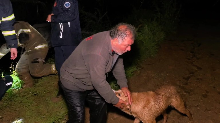 Bursa'da Dere Taştı: Çiftçi ve Köpeği Dramdan Kurtarıldı