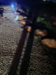 Midyat'ta otomobil koyun sürüsüne çarptı: 2 yaralı, 40 koyun öldü