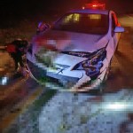 Midyat'ta otomobil koyun sürüsüne çarptı: 2 yaralı, 40 koyun öldü