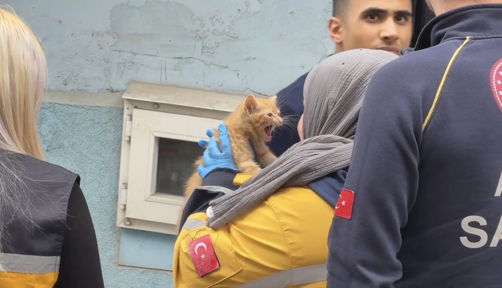 Kağıthane'de Yangın: Mahsur Kalan Yavru Kedi Kurtarıldı