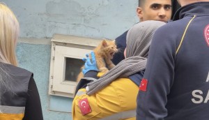 Kağıthane'de Yangın: Mahsur Kalan Yavru Kedi Kurtarıldı