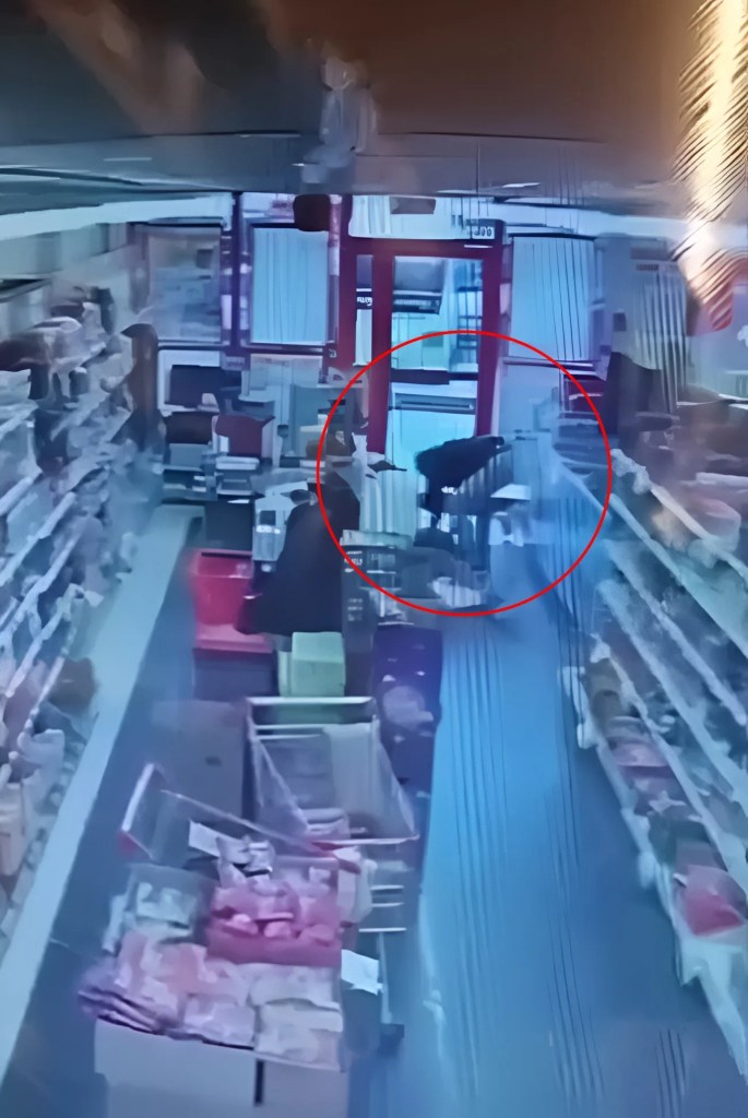 Jandarma Personeli Markette Müşteriyi Hayata Döndürdü