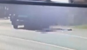 Sapanca'da çöp kamyonu kazası: Bir yaya hayatını kaybetti
