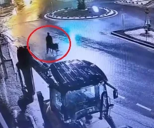 Kayseri'de Eşekle Kaçan Hırsıza 9 Yıl Hapis Cezası