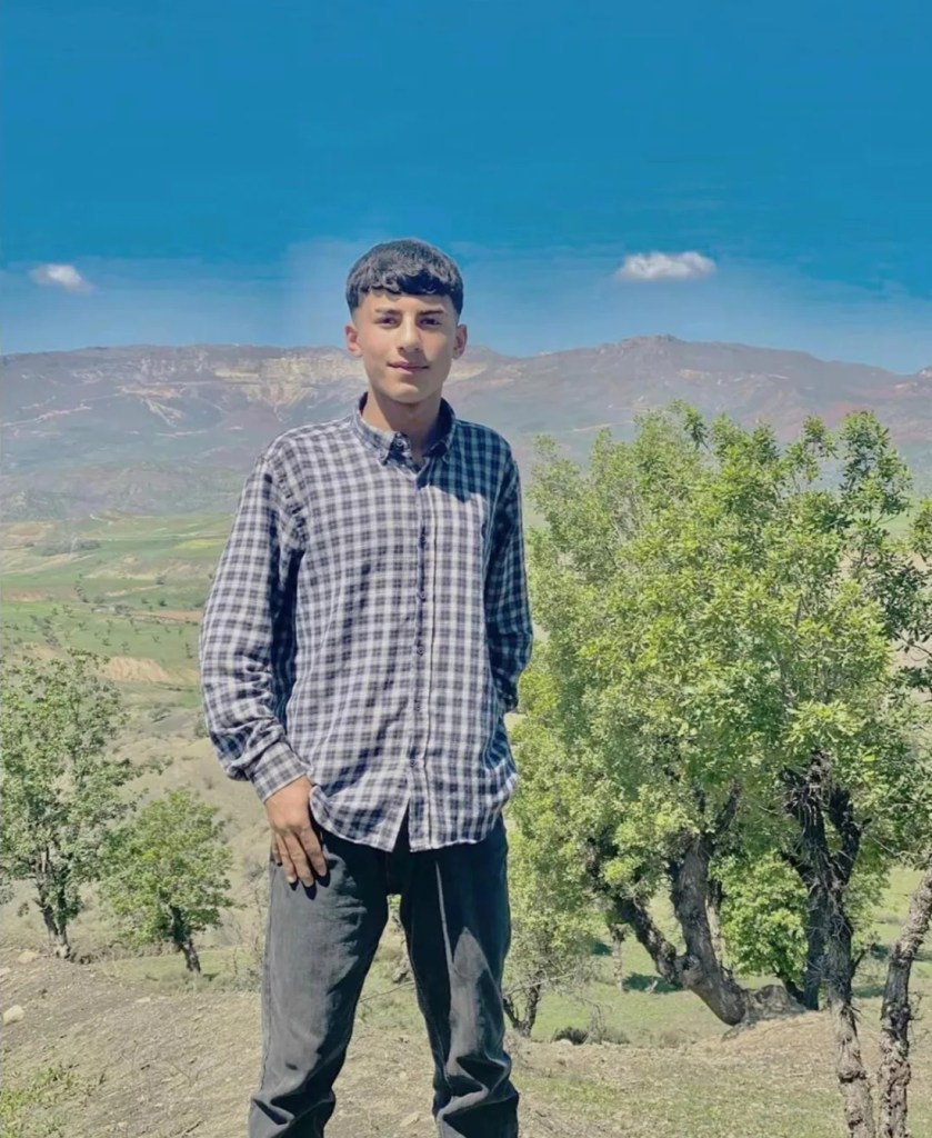 Şırnak'ta Dereye Giren Genç Hayatını Kaybetti