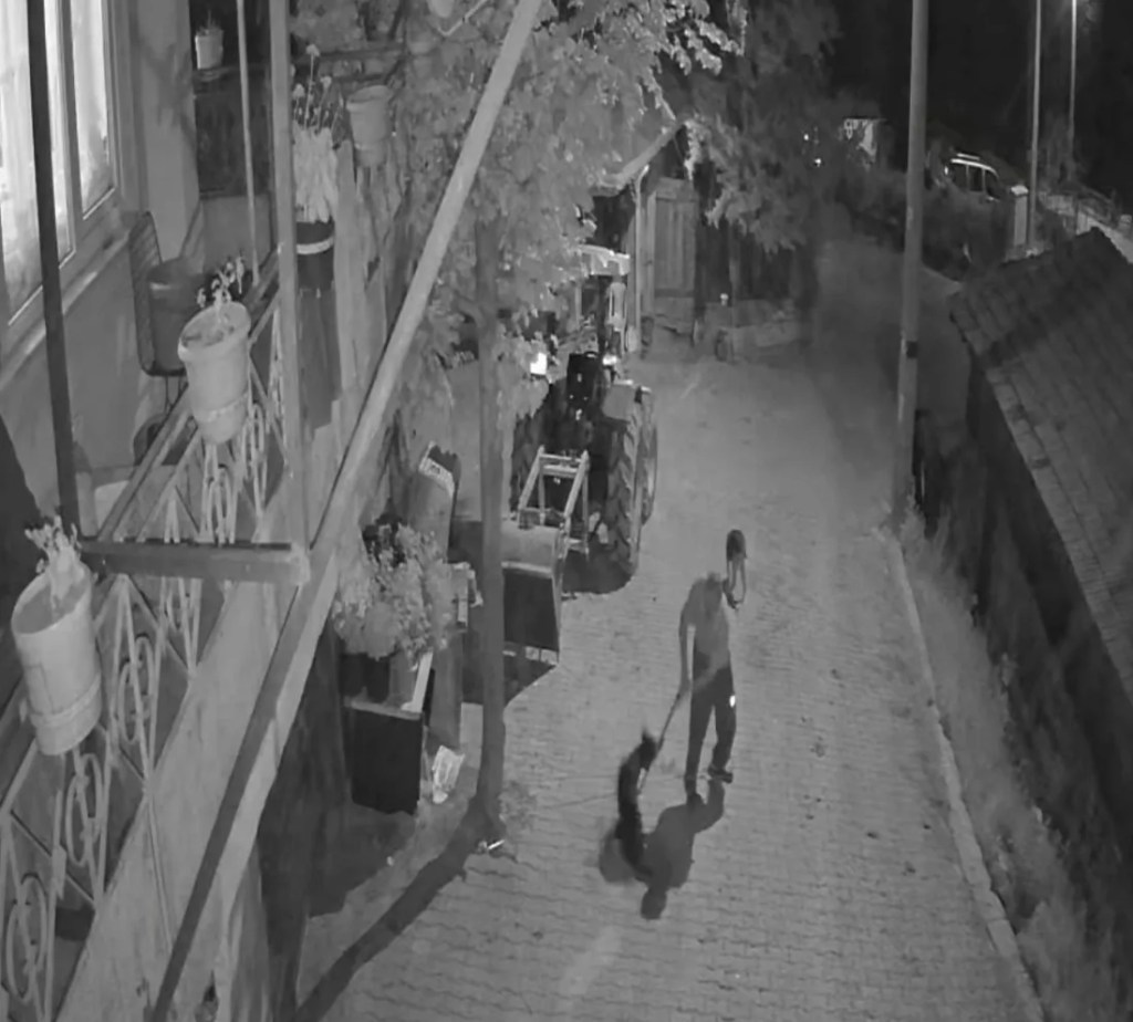 İzmit'te köpeğe vahşet anları kamerada!