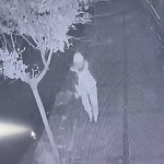 Kağıthane'de doktorun trajik düşüşü!