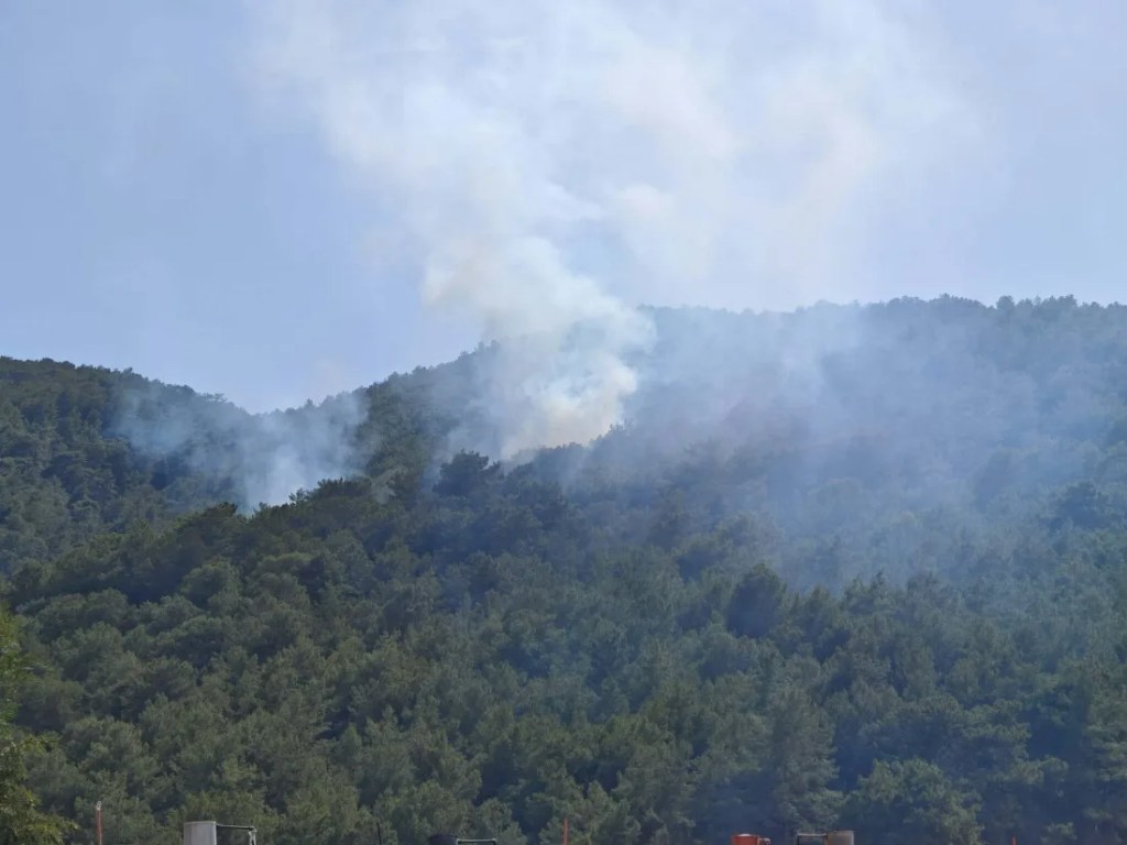 Muğla'da orman yangını kontrol altına alındı!