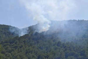 Muğla’da orman yangını kontrol altına alındı!