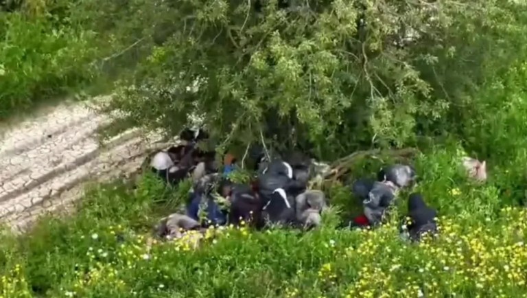 Hatay'da düzensiz göçmen operasyonu!