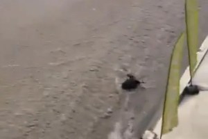Ankara’da sağanak sonrası kaos!