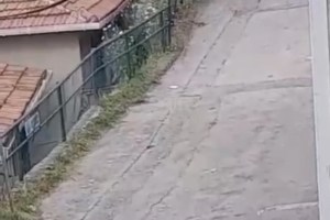 Sarıyer’de Bahçede Şok Keşif!