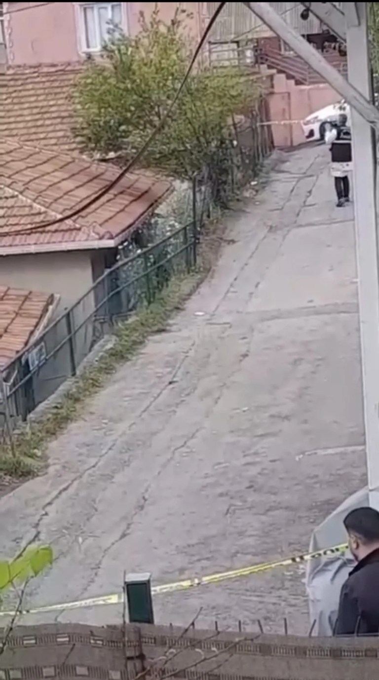 Sarıyer'de Bahçede Şok Keşif!
