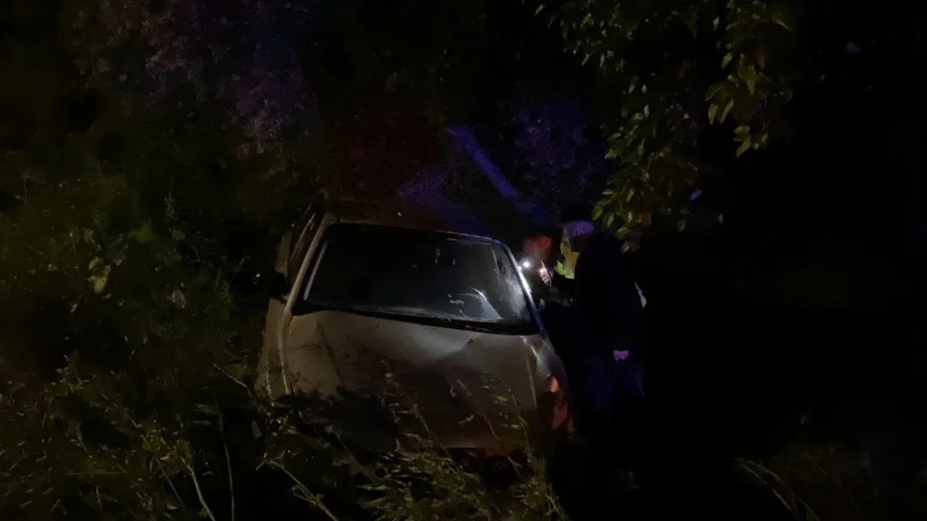 Bursa'da otomobil zeytinliğe uçtu!