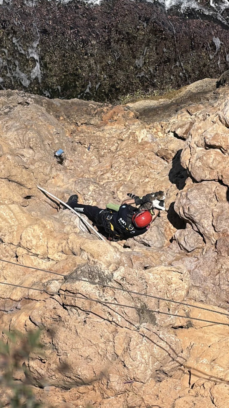 Antalya'da falezlerde mahsur kalan kedi kurtarıldı!
