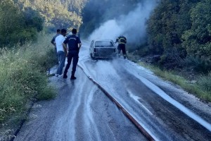 Osmaniye’de otomobil yangını korkuttu!