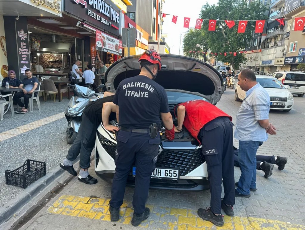 Edremit'te Yavru Kedi Kurtarma Operasyonu!
