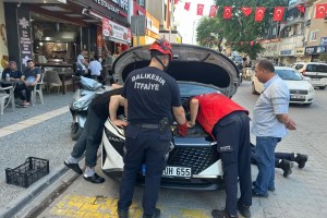 Edremit’te Yavru Kedi Kurtarma Operasyonu!
