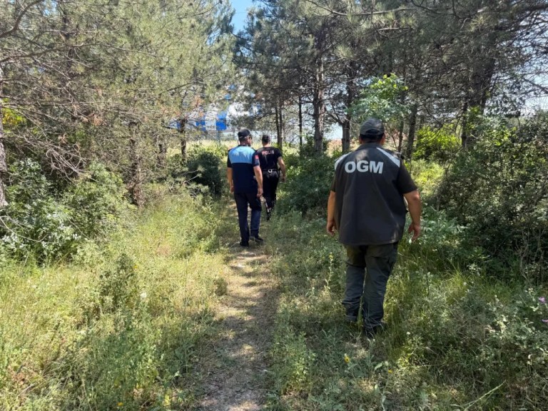 Dilovası’nda orman yangınlarına karşı denetim