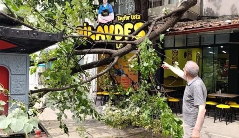 İzmit’te dev ağaç devrildi, iş yeri zarar gördü!