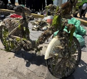 Derince Sahili’nde çevre temizliğinde şaşırtan buluntular