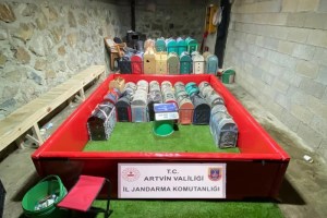 Artvin’de horoz dövüşü operasyonu!