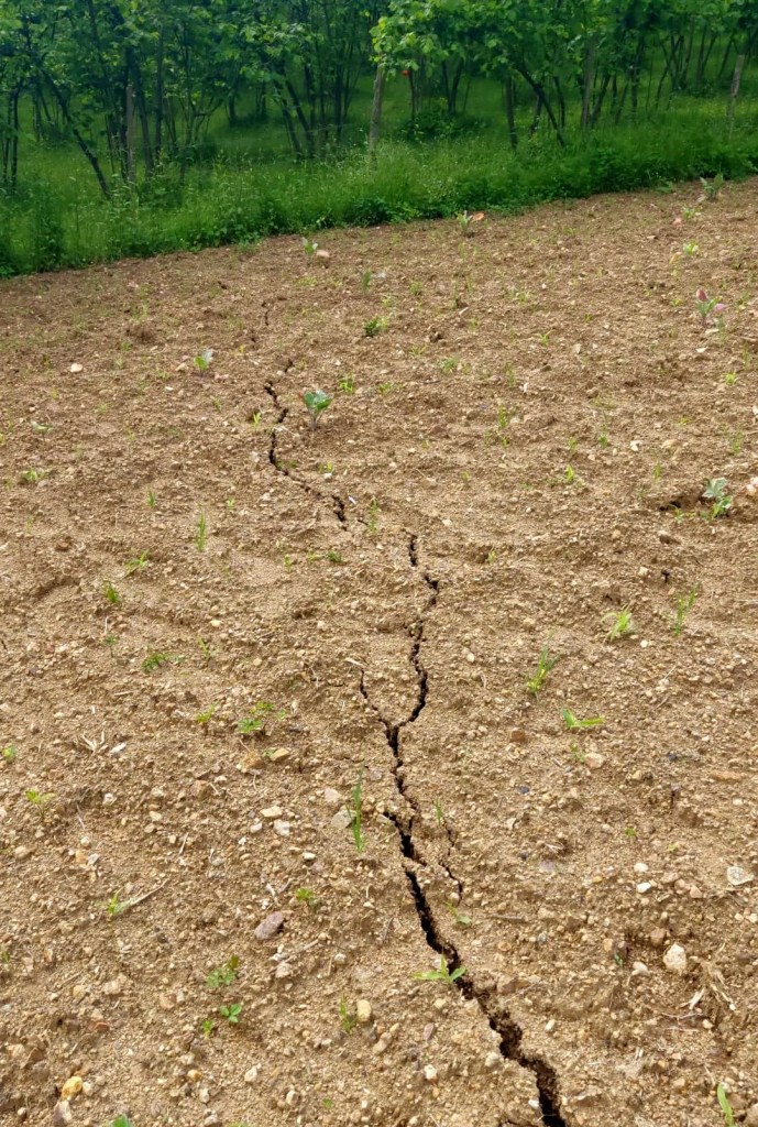 Giresun'da Heyelan Tehlikesi: 33 Ev Boşaltıldı!