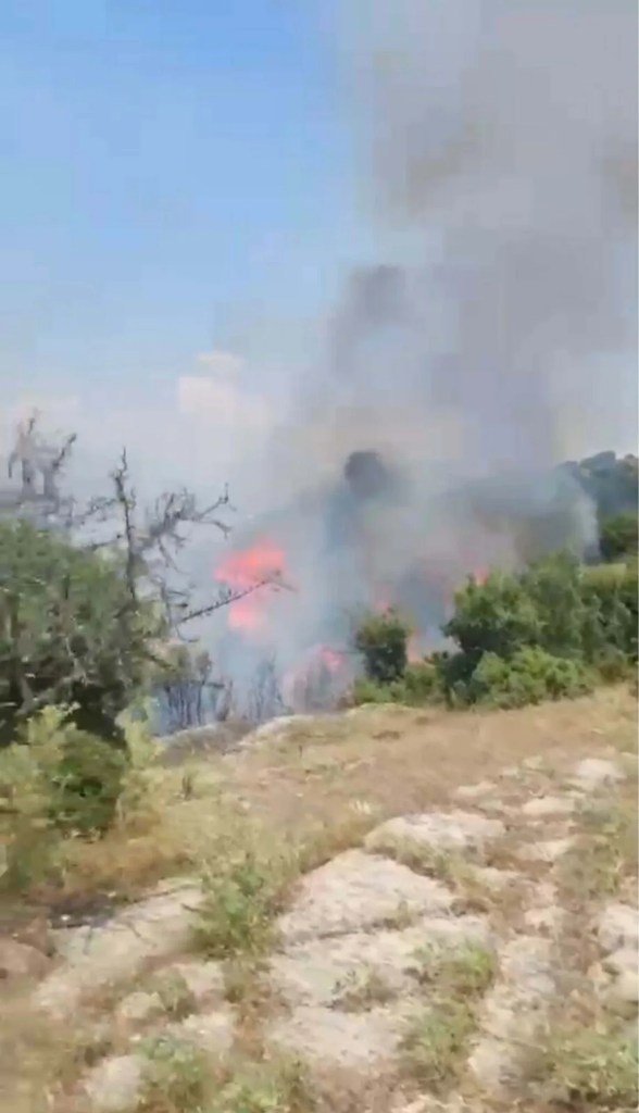 Aydın'da makilik yangını kontrol altına alındı!