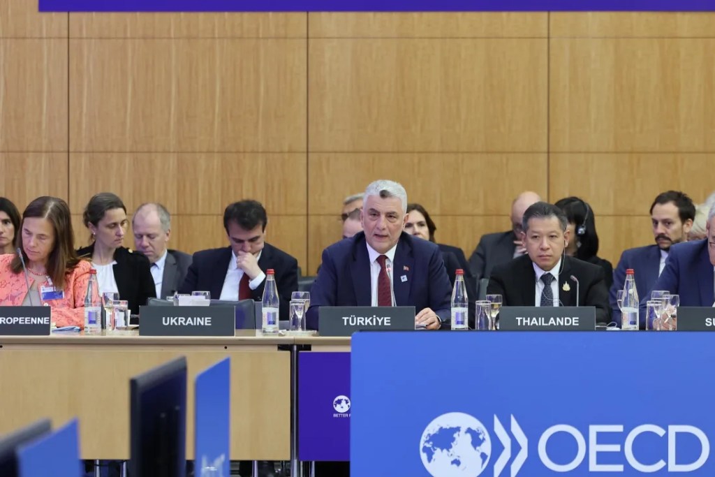 Bakan Bolat OECD toplantısında Türkiye'yi temsil etti