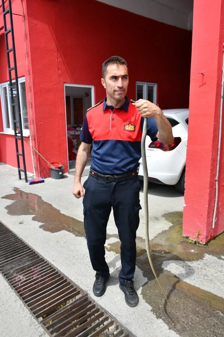 Sağlık Merkezi'nde Yılan Paniği!