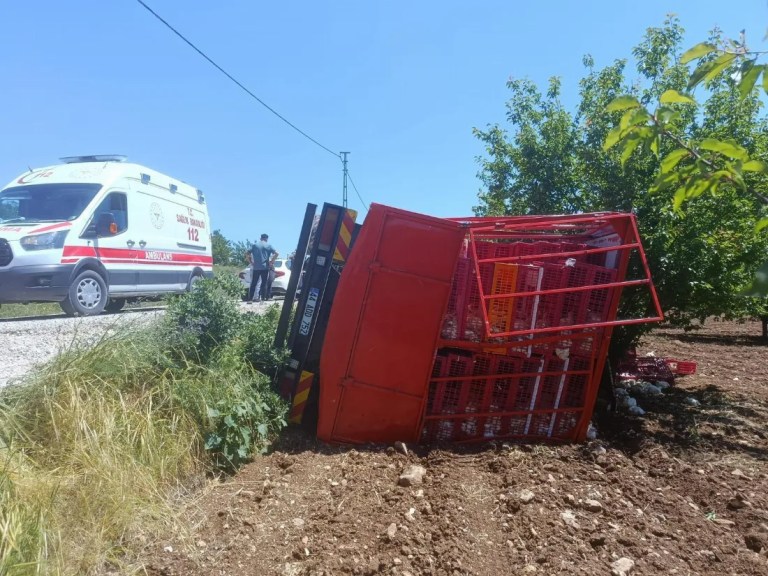 Malatya'da tavuk yüklü kamyon devrildi!